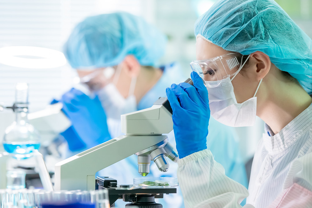 Vaccine researchers in the laboratory
