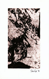 Male Bark.jpg
