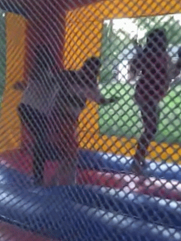 Picasa - 20140704_210132.gif