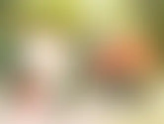 「大穢」ダブル新企画