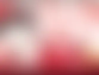 夏の大穢 情報