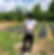 output_image1642097641536.jpg