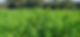 farm202.png