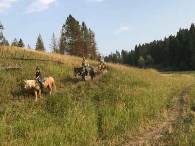 Lone Mountain Ranch