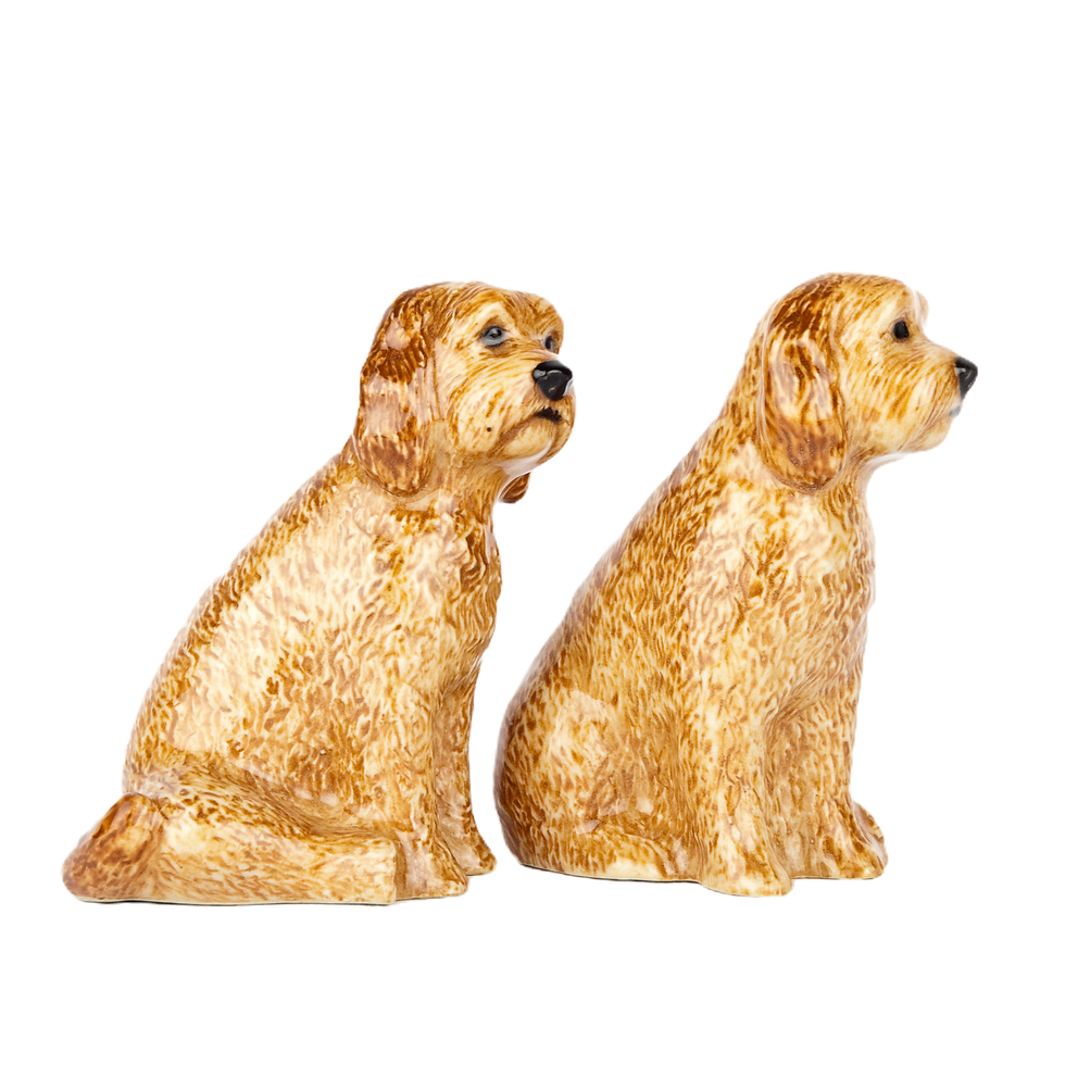 Miniatura: Salero y pimentero cockapoo