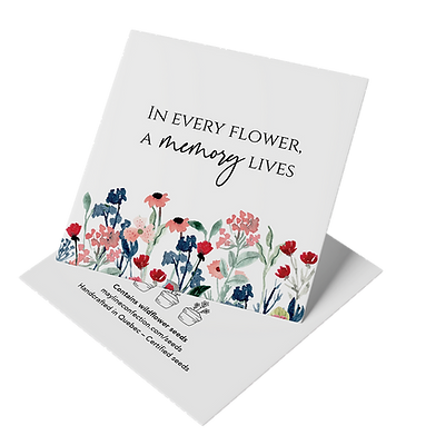 Seed packet