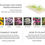 Miniature : Papier ensemencé écologique pour cartes à semer et cartes personnalisées à planter.