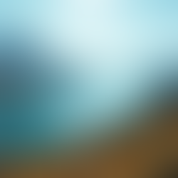 Experiencias de viaje exclusivas con ALVIAJES