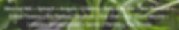 Copy of Email Header (3).png
