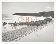 Hollister