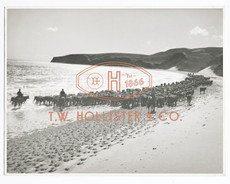 Hollister