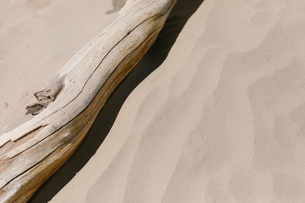 driftwood.png