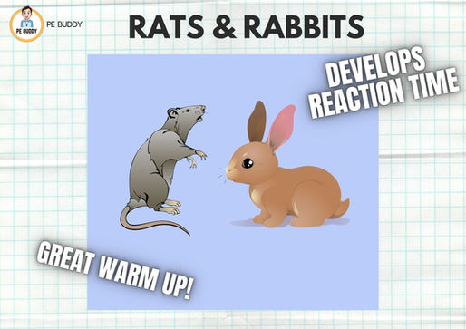 PE Activity #11 - "Rats & Rabbits"