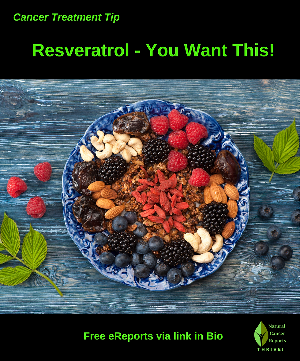 Resveratrol Cancer: How Resveratrol Stops Cancer and Prolongs Life