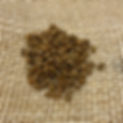 fine_robusta_edited.jpg