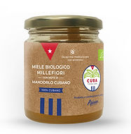 CTL_miele_isolato_edited.jpg