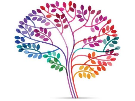 How to change your brain: Neuroplasticity