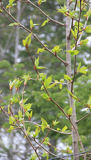 IMG_6122.JPG