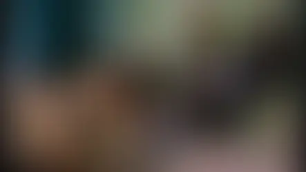 Um olhar jurídico: O Julgamento do Chaves