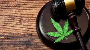 STF e a descriminalização do porte de maconha para uso pessoal