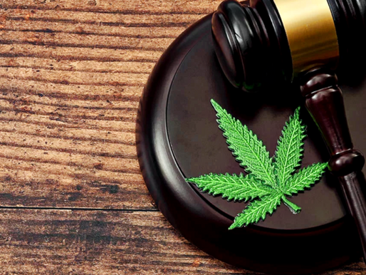 STF e a descriminalização do porte de maconha para uso pessoal