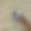 Thumbnail: Chrysanthemum Cards
