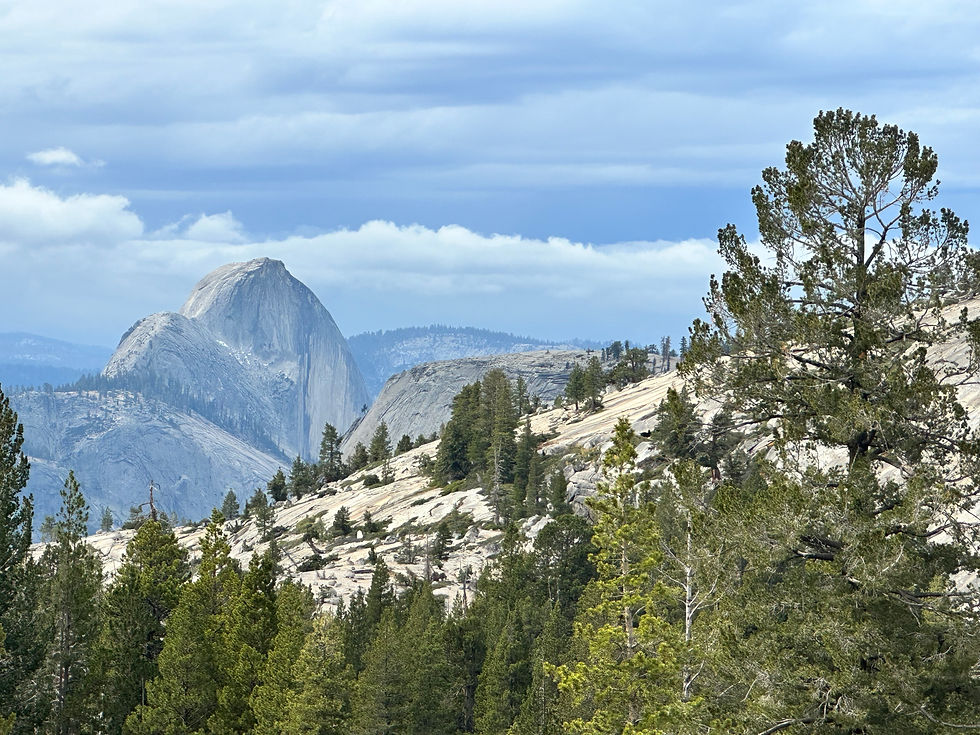 Half-Dome from Afar