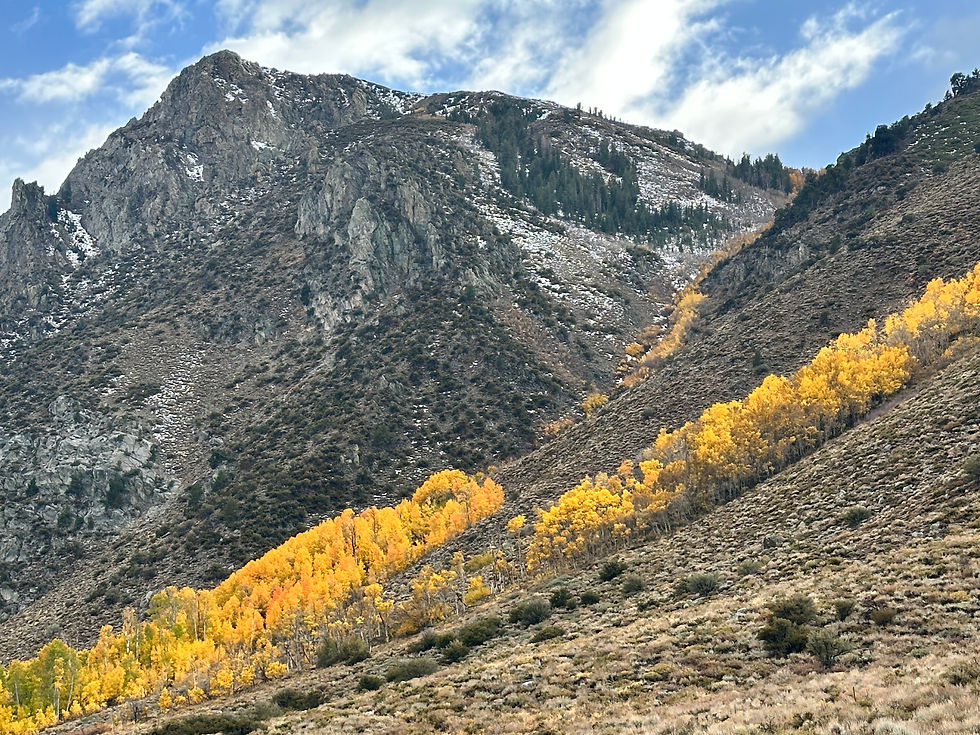 Eastern Sierras