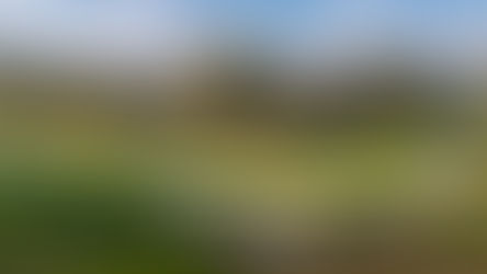 Chiêm ngưỡng sân golf Ridgewood Country Club (East/West)