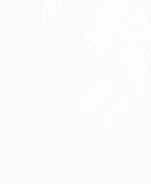 Palm Shadow.png
