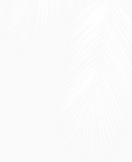 Palm Shadow.png