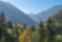 Trees and Mountains_edited.jpg
