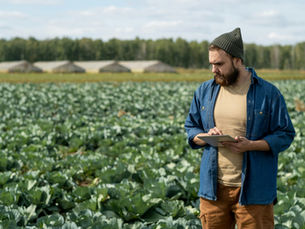 Kommunikation im Field Service Management digital denken