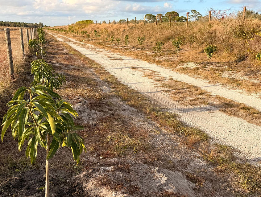 WhatsApp Image 2026-01-07 at 17.43.17 (1).jpeg