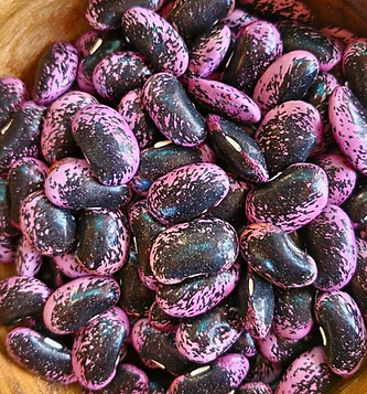 Screenshot 2024-09-27 at 1.17.32 PM.png