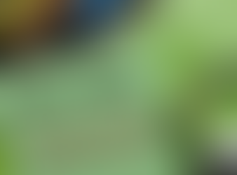 Black Fungus and why it is a big deal