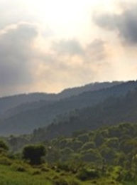 Wild Life & Environment - BIODIVERSITY & NATURE