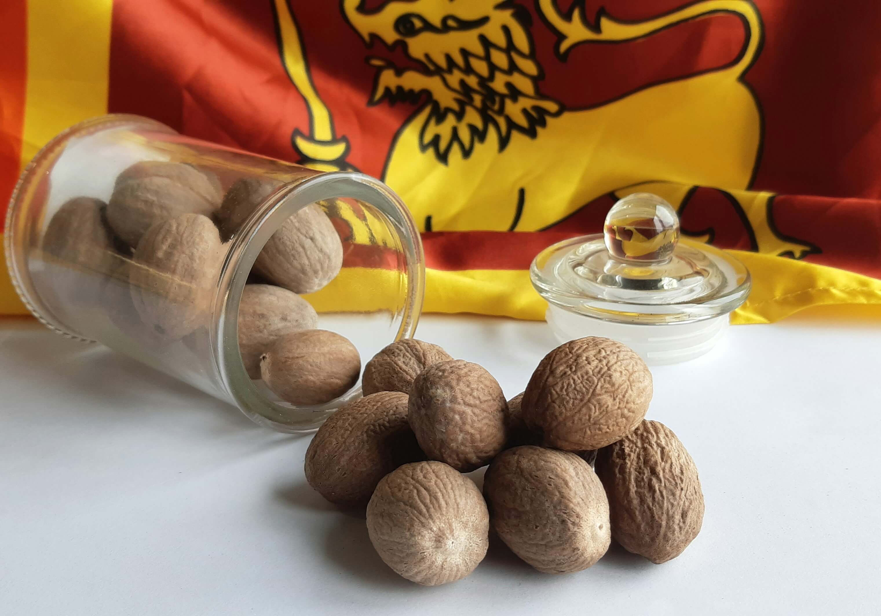 Мускатный орех фото