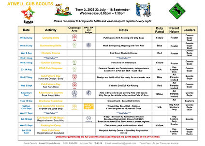 2025 T3 Cubs Term Planner.jpg
