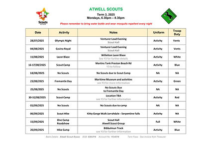 2025 T3 Scouts Term Planner.jpg
