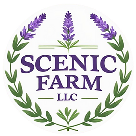 removed background.png