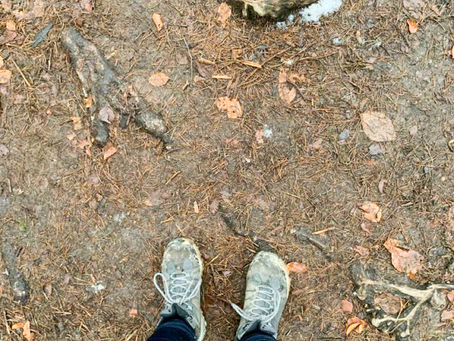Muddy shoes during a dog walk in North Brisbane