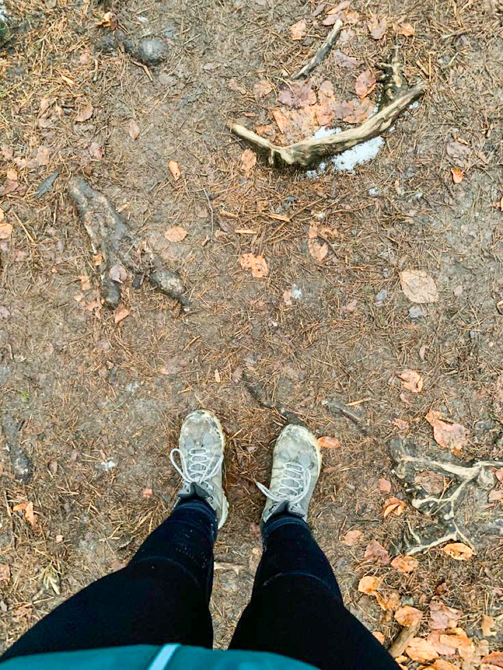 Muddy shoes during a dog walk in North Brisbane