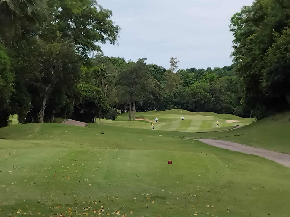 ed14fae6-0a26-4b05-a5e0-e3424bdbfa62 (1)