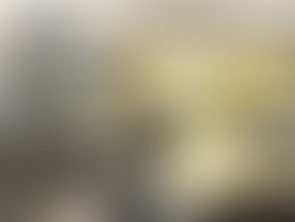 外カリカリ中モチモチのパンへ