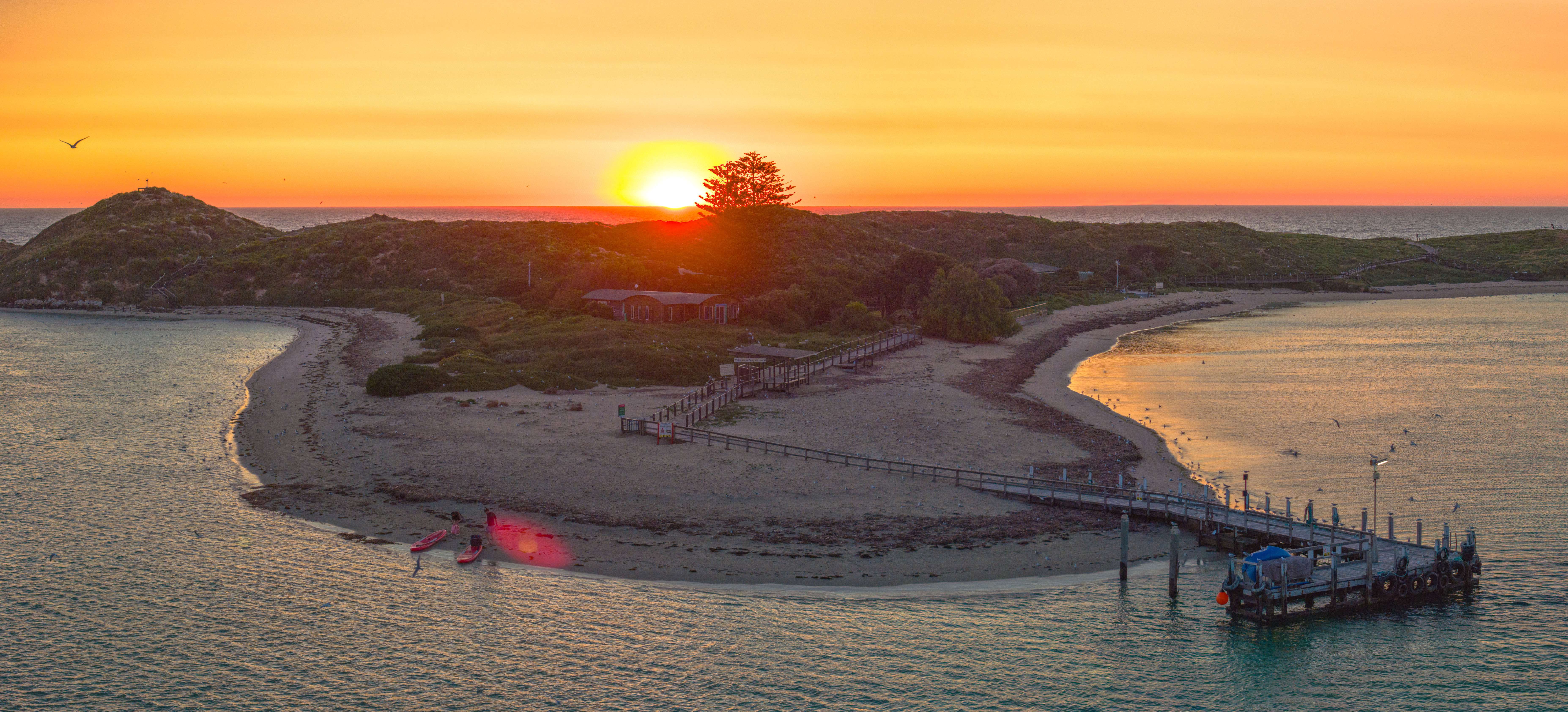Penguin Island Sunset
