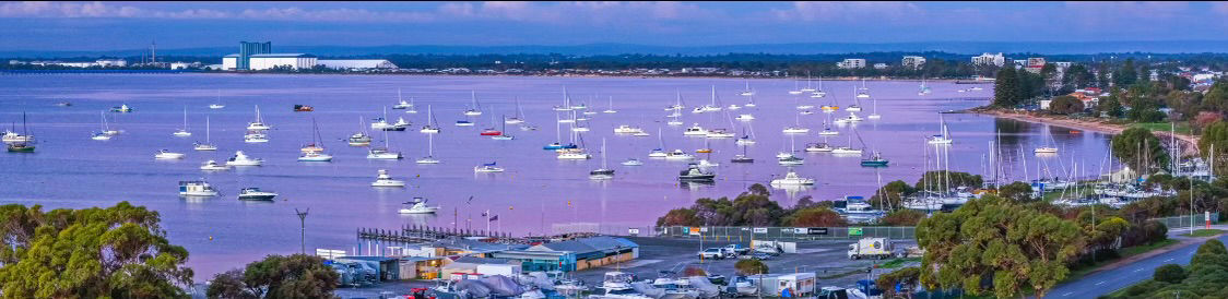 Mangles Bay Purple PANORAMA