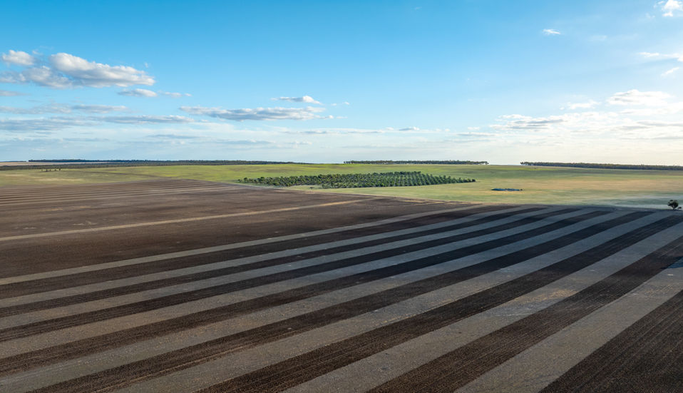 newdegate15-04-1