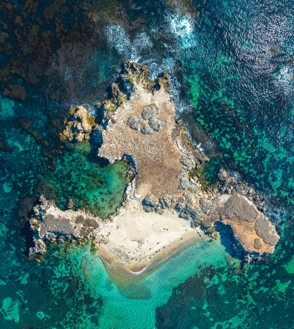 seal_island_topdown_website