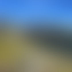 Die Wirkung vom Aussenblick